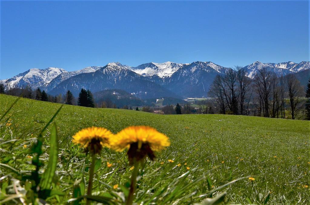 Sonnenbichl 3* Fischbachau