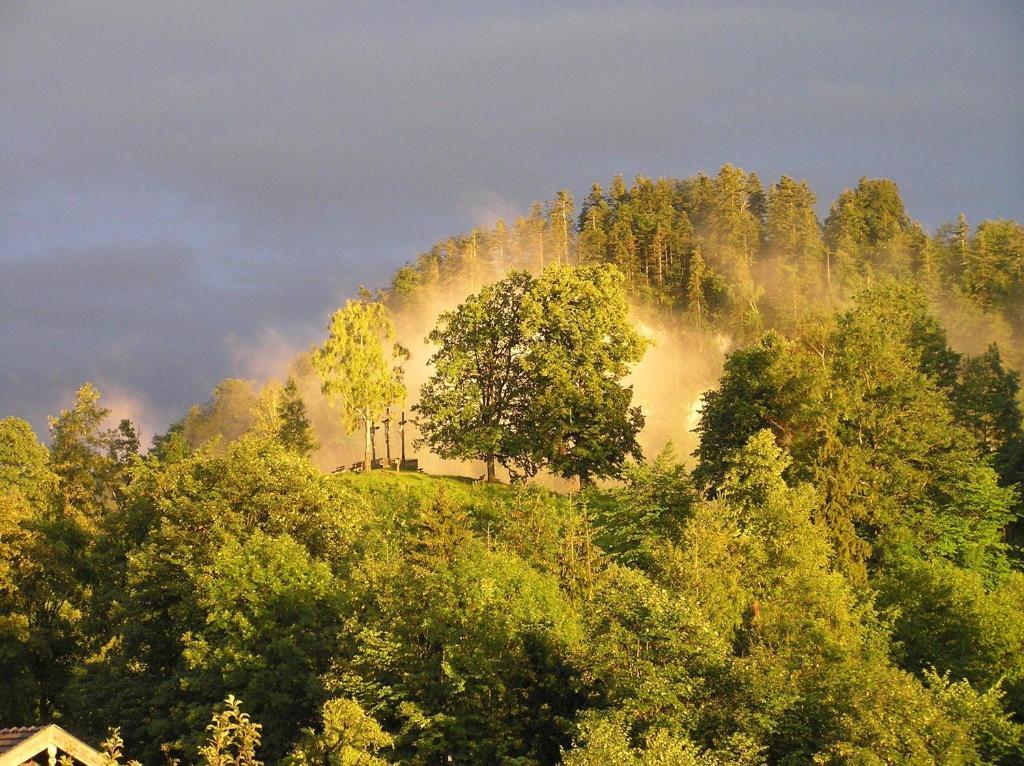 Gaestehaus Sonnenbichl Guest house 3*